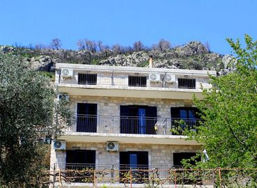 Villa Savicic
