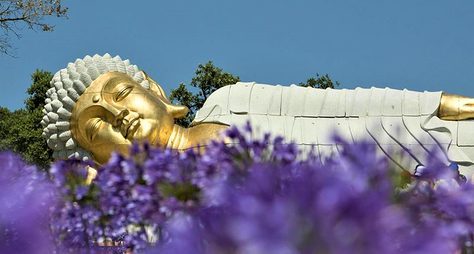 Райские сады Будды