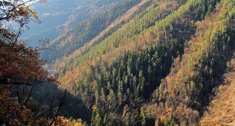 Через всю Грузию: виноградные долины, горы, море и «Боржом»