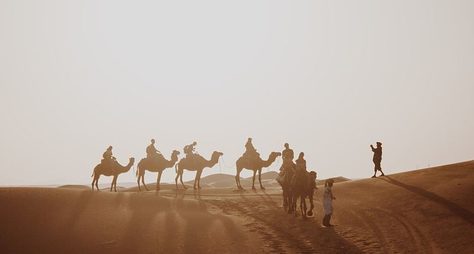 Караван-тур: прогулка на верблюдах