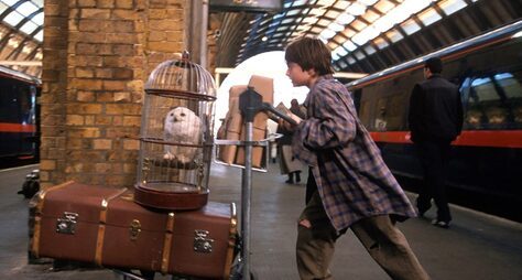 Экскурсия по волшебному миру Гарри Поттера в Лондоне