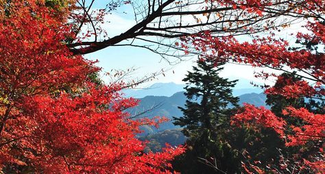 Священная гора Такао и термальные источники