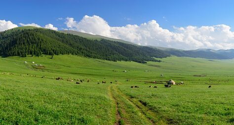 Из Алматы — к высокогорному плато Асы