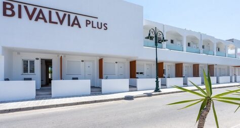 Bivalvia Plus