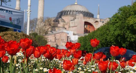 Стамбул во время цветения тюльпанов
