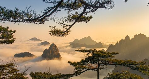 К облакам на священную гору Хуаншань: индивидуальный тур
