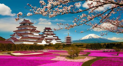 Весенние краски Японии: майские праздники в Стране восходящего солнца