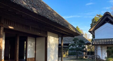 Музей эпохи Эдо под открытым небом