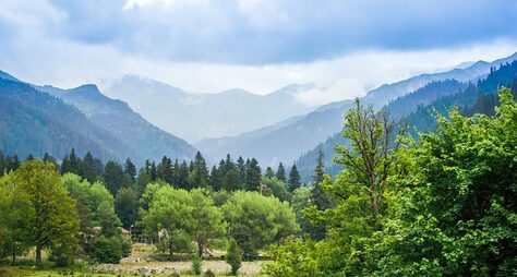 Рача-Лечхуми: природа, памятники и кухня Западной Грузии