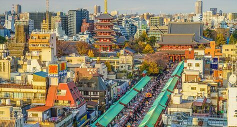 Большая прогулка по Токио: увидеть главное