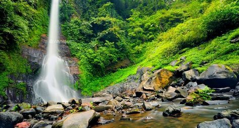 Водопады Бали и рисовые террасы