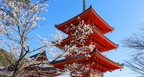 Киото: вайб исторической Японии