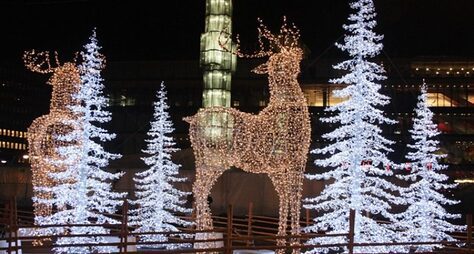 За рождественской сказкой в Стокгольм
