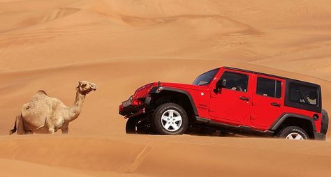 Пустынное сафари — джип-тур в Дубае