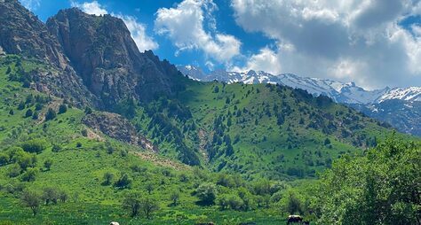 Горы Чимган + озеро Чарвак + горнолыжный курорт Амирсай