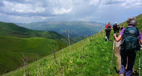 Альпийские луга и зелёные леса Дилижана