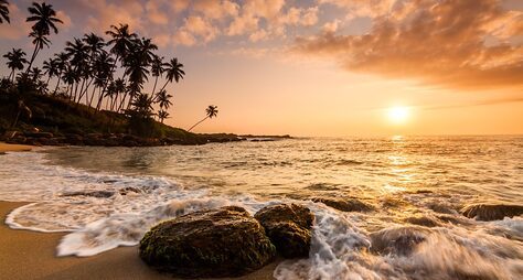 Идеальное комбо: главные локации, активности и пляжный релакс на Шри-Ланке